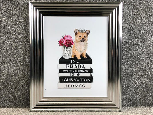 Liquid Art Pomeranian sat on Designer Books